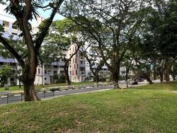 456 JURONG WEST STREET 41 (D22), Shop House #589634001